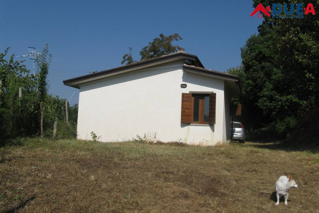 immagine annuncio 4 di 6