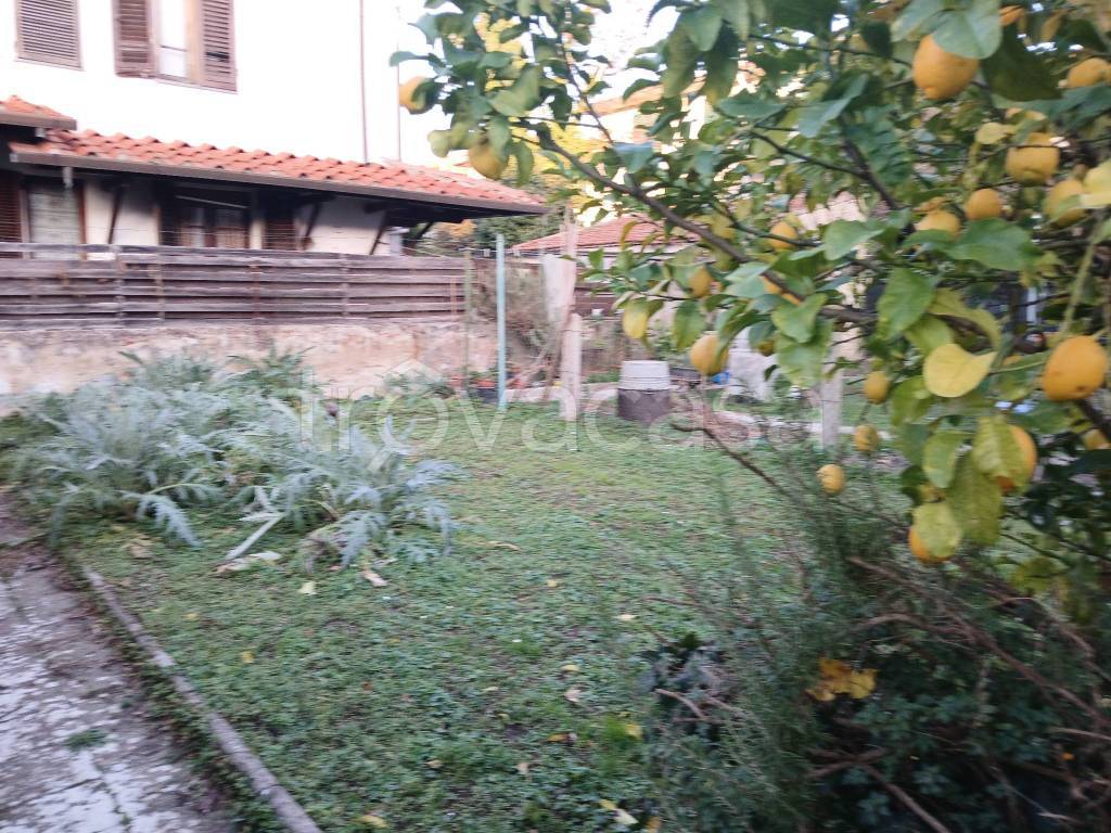 immagine annuncio 12 di 14