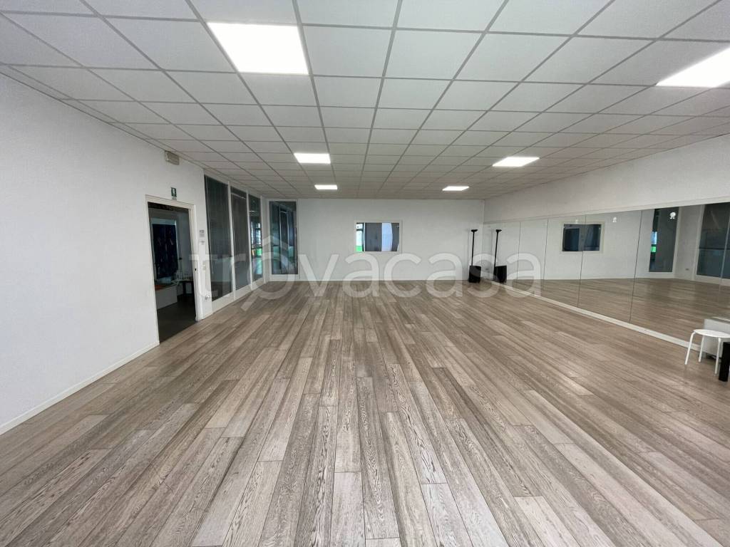 immagine annuncio 3 di 7