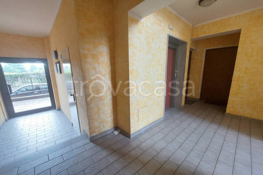 immagine annuncio 11 di 14