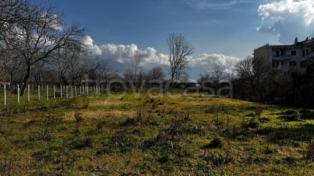 immagine annuncio 2 di 6