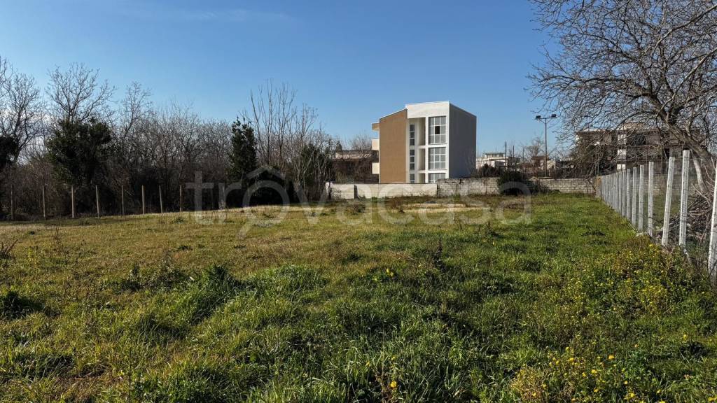 immagine annuncio 3 di 6