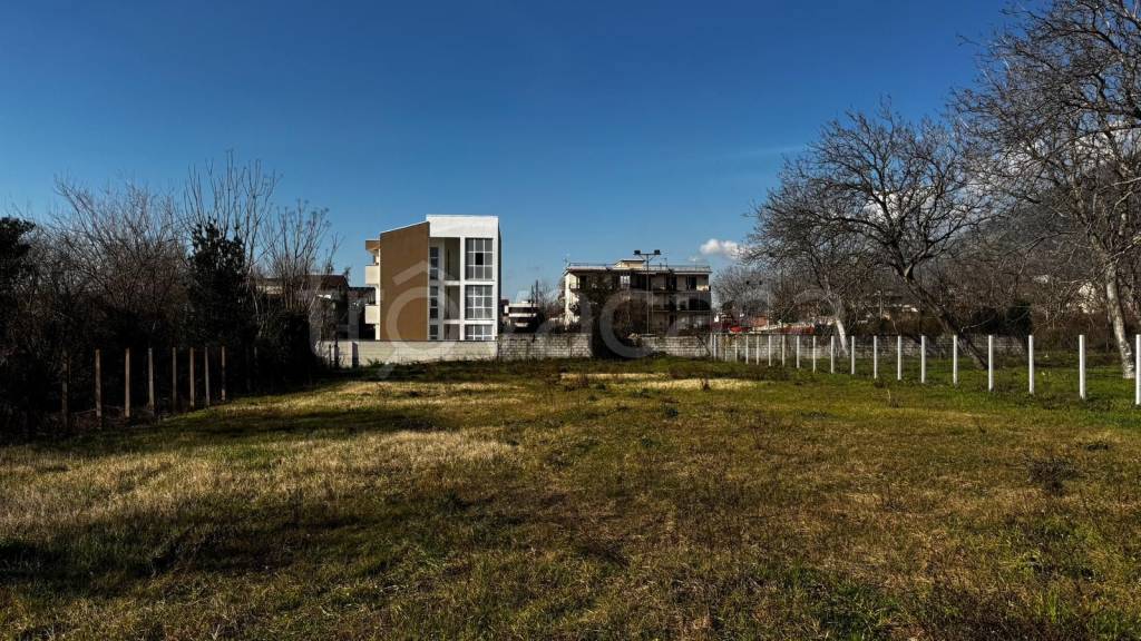 immagine annuncio 4 di 6