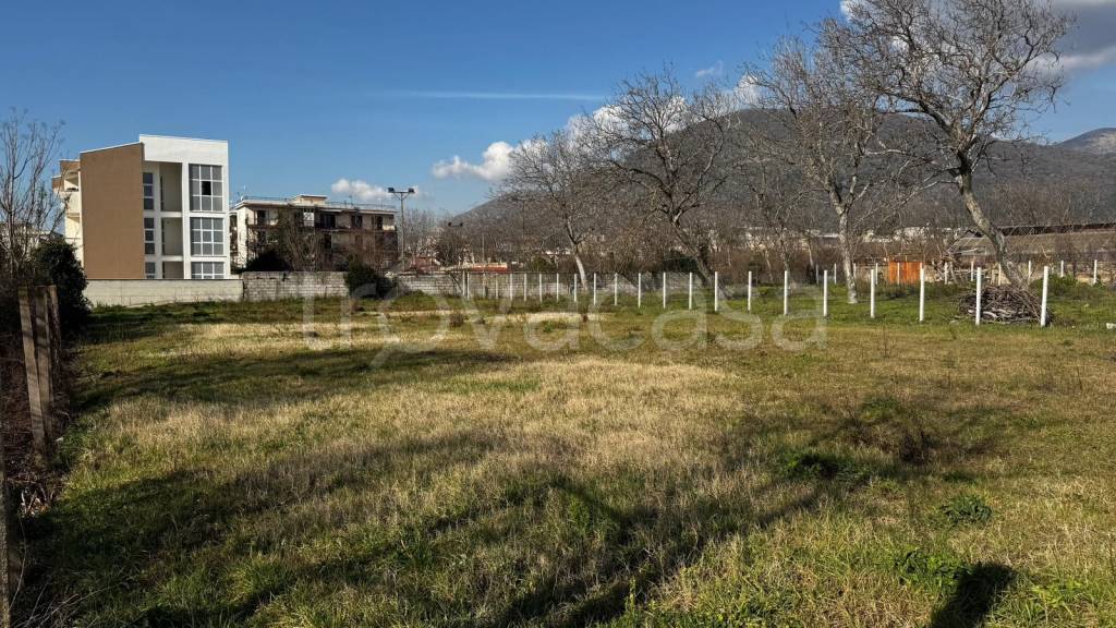 immagine annuncio 5 di 6