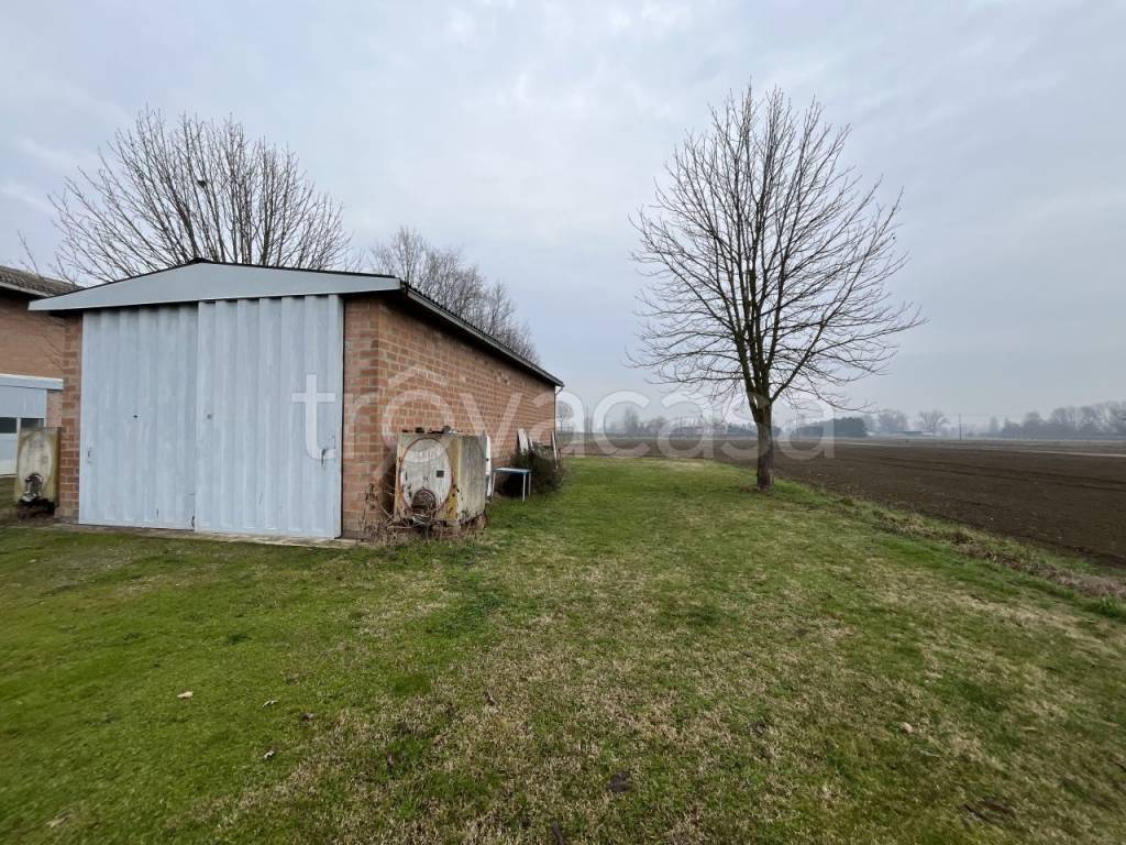 immagine annuncio 3 di 7