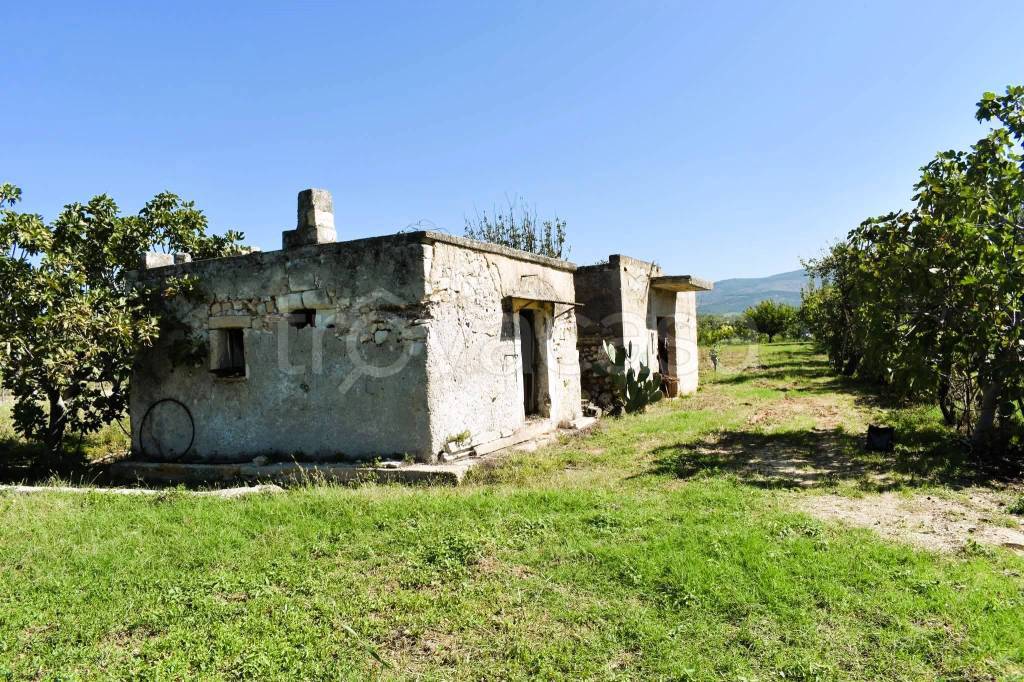 immagine annuncio 2 di 6