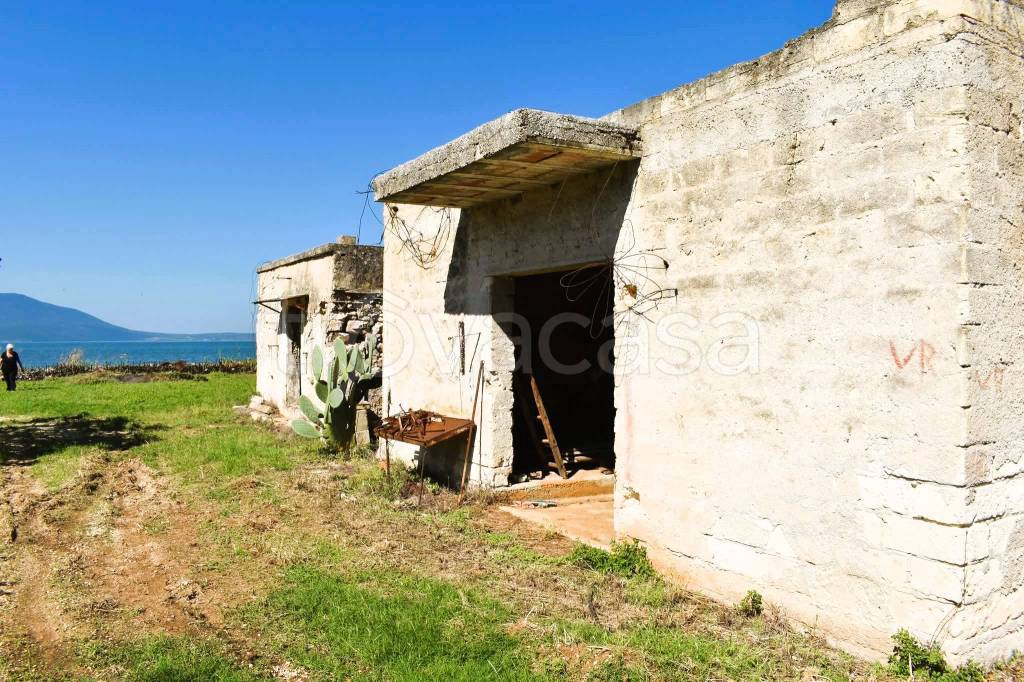 immagine annuncio 1 di 6