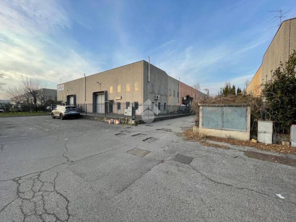 immagine annuncio 2 di 15