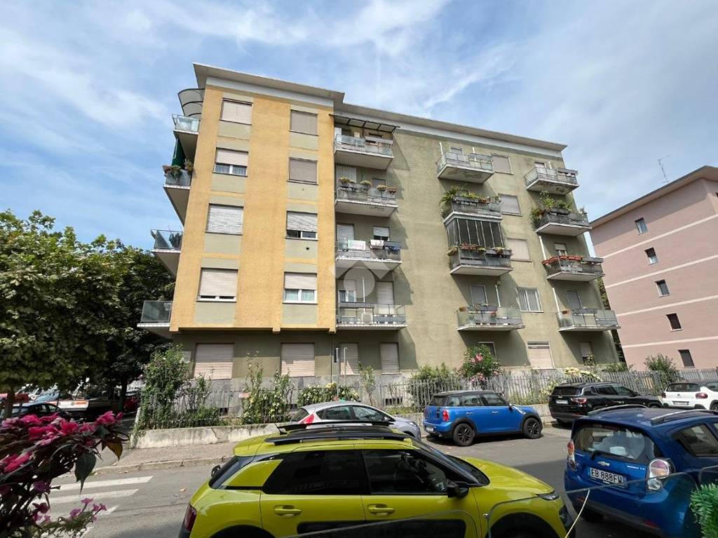 immagine annuncio 6 di 15