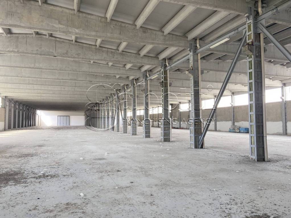 immagine annuncio 1 di 14