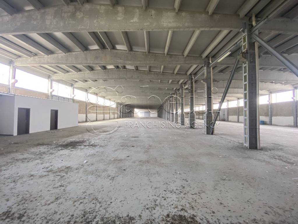 immagine annuncio 2 di 14