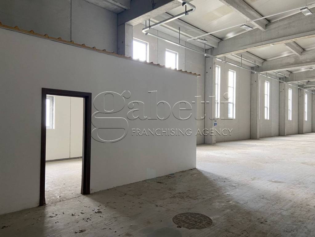 immagine annuncio 4 di 14