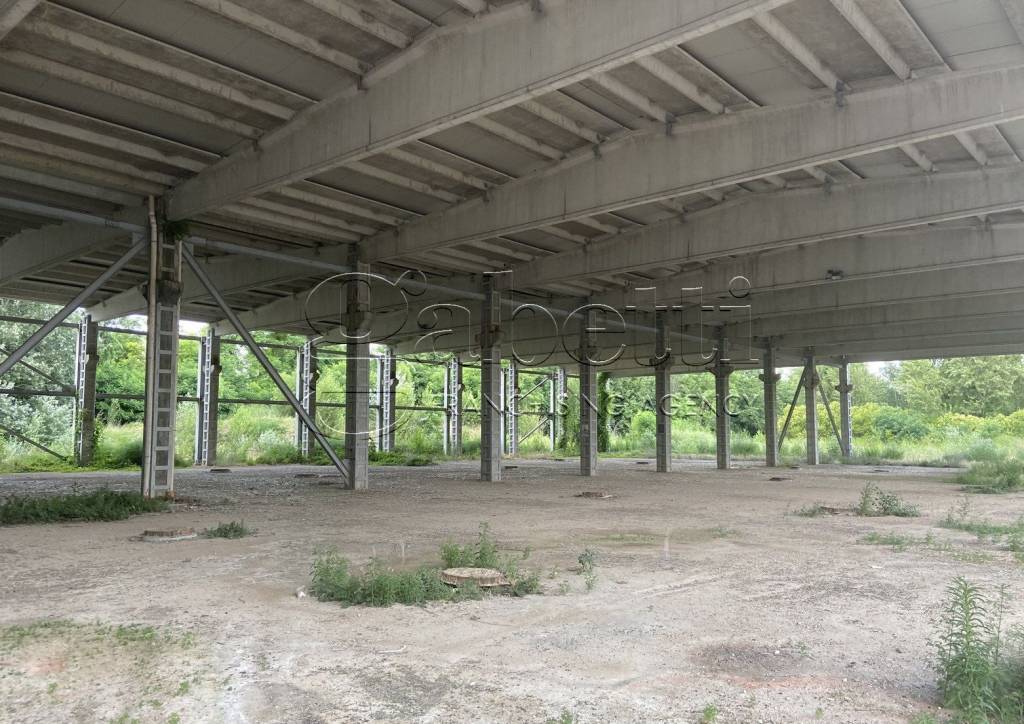 immagine annuncio 10 di 14