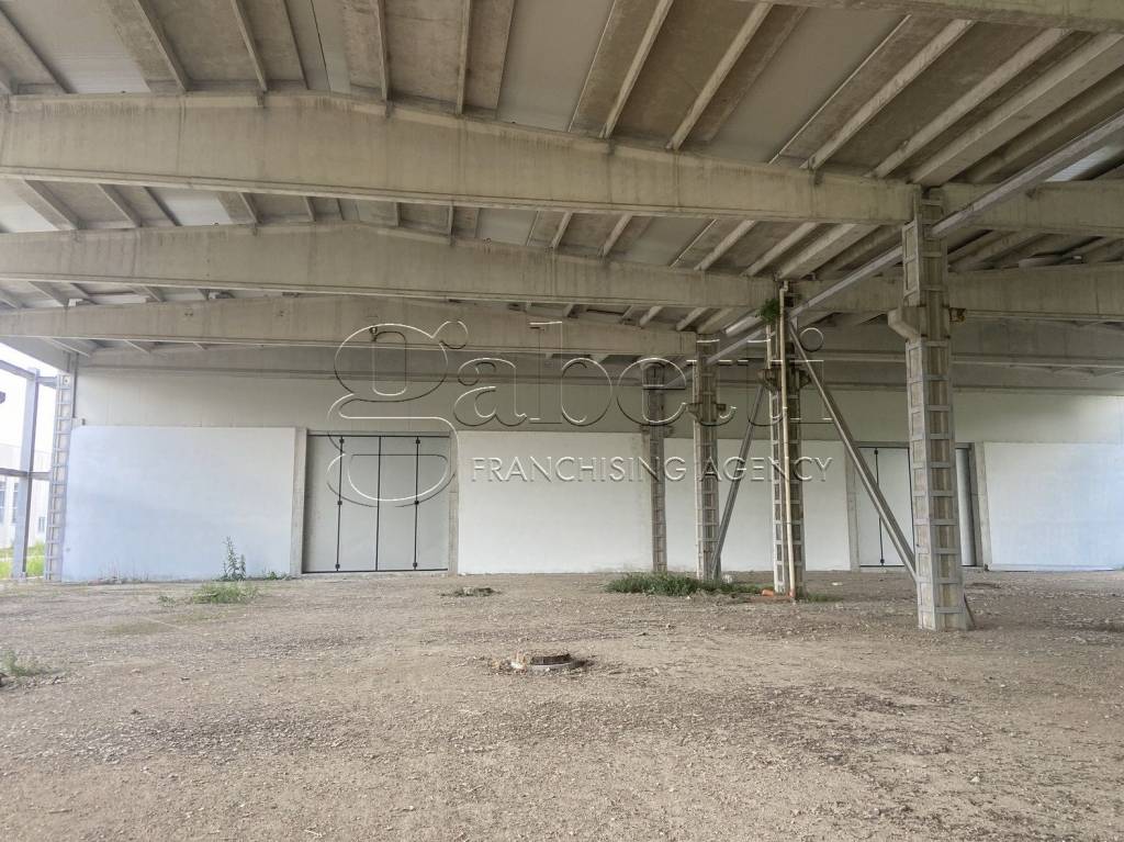 immagine annuncio 11 di 14