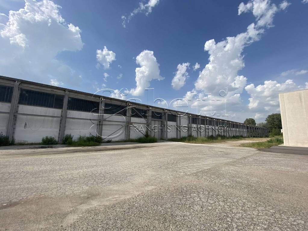 immagine annuncio 12 di 14