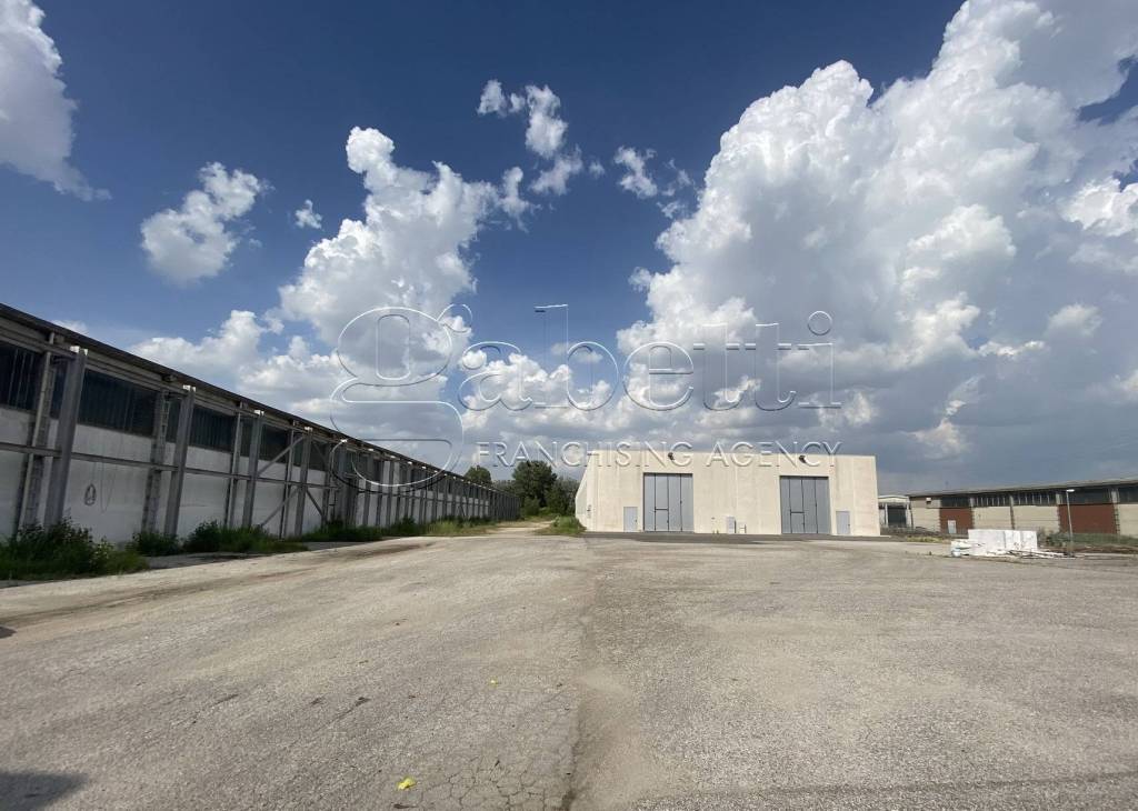 immagine annuncio 13 di 14