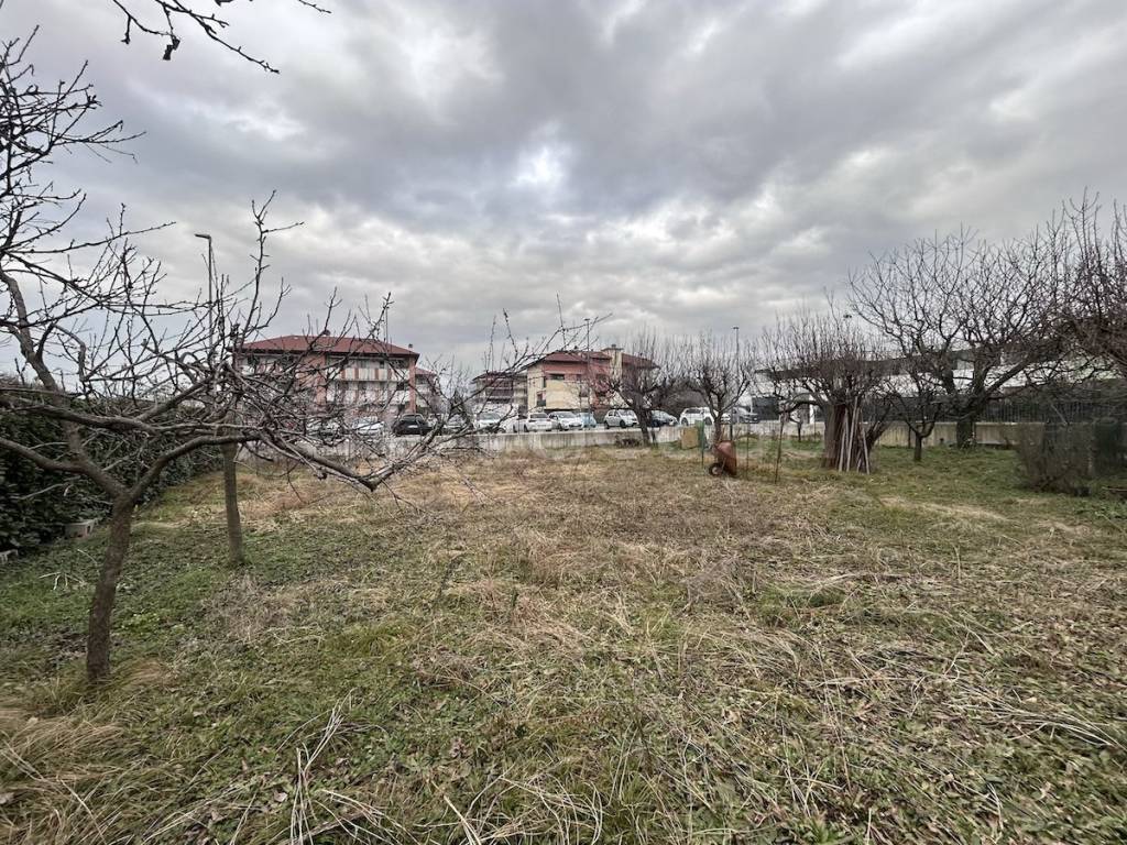 immagine annuncio 3 di 12