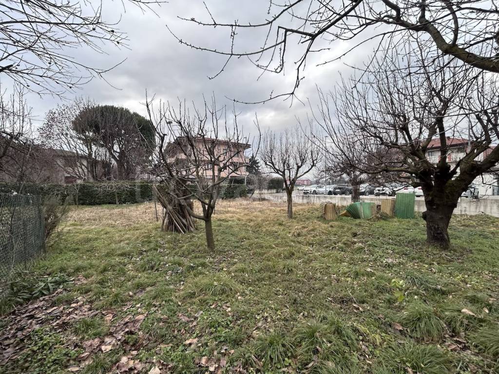 immagine annuncio 4 di 12