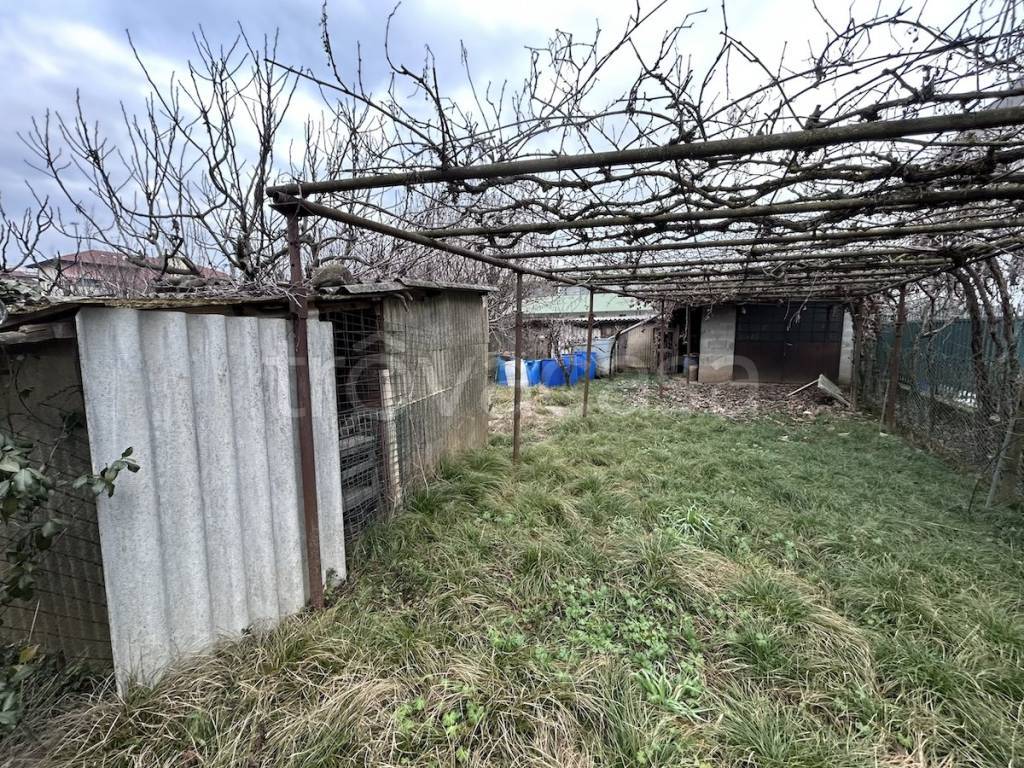 immagine annuncio 6 di 12