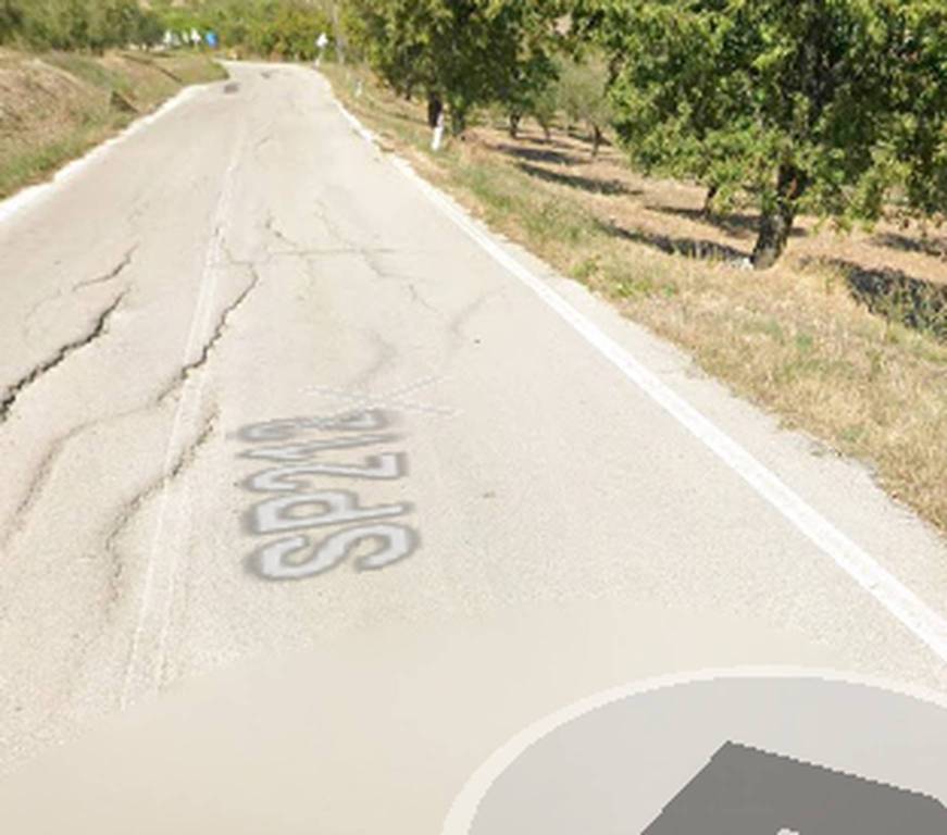 immagine annuncio 3 di 10