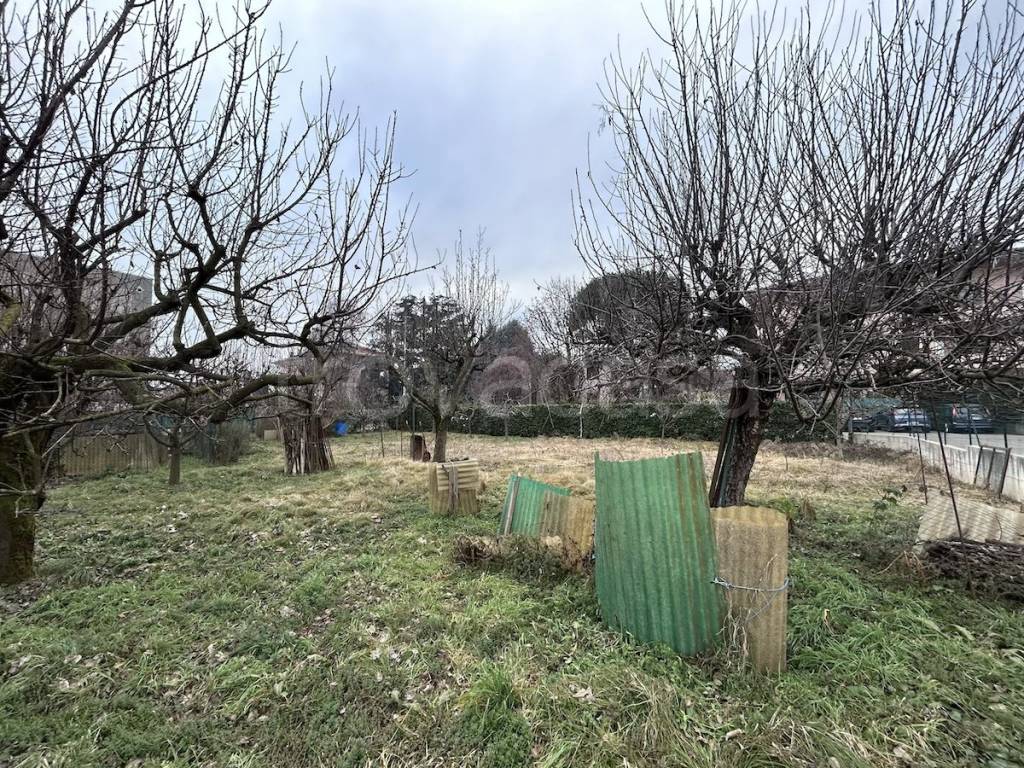 immagine annuncio 5 di 12