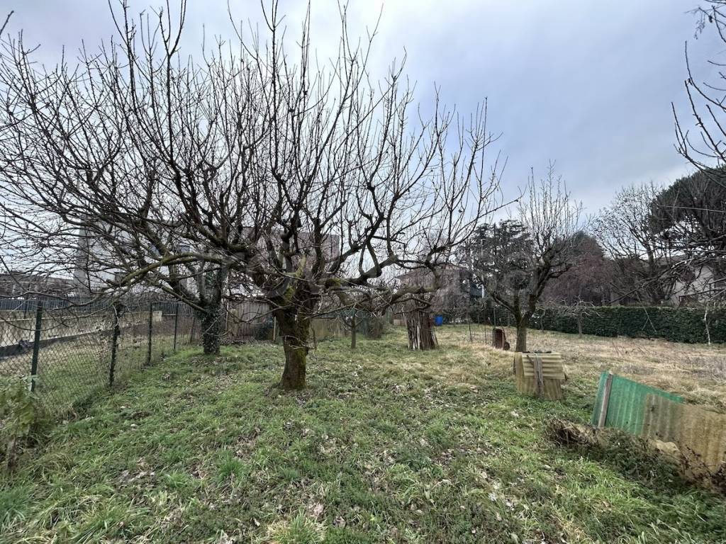 immagine annuncio 7 di 12