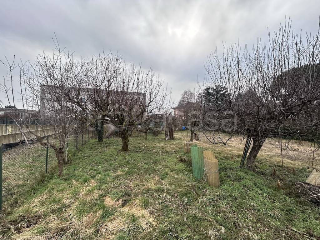 immagine annuncio 8 di 12