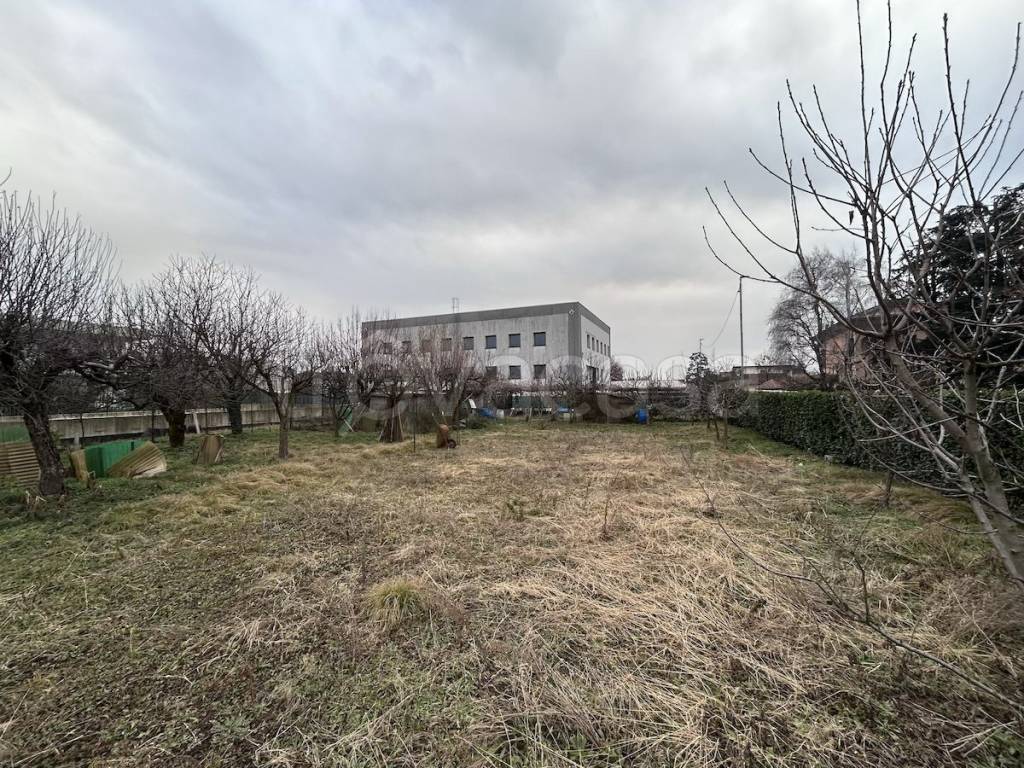 immagine annuncio 10 di 12