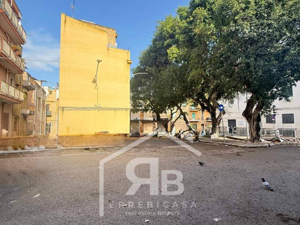 immagine annuncio 9 di 14