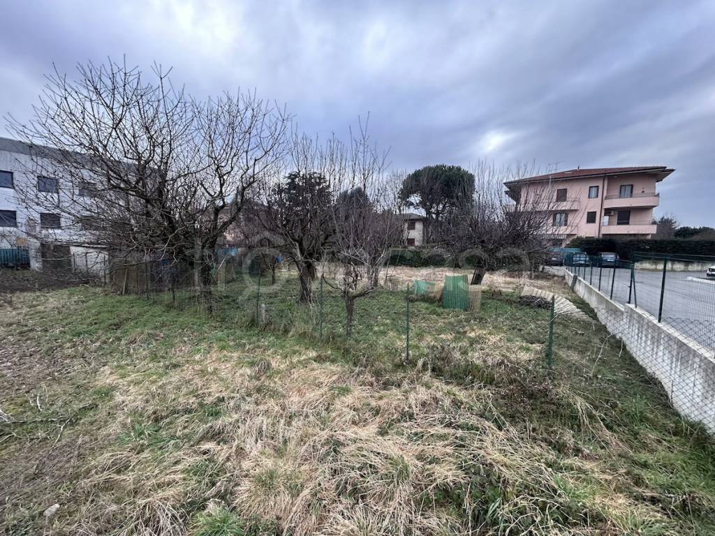 immagine annuncio 11 di 12