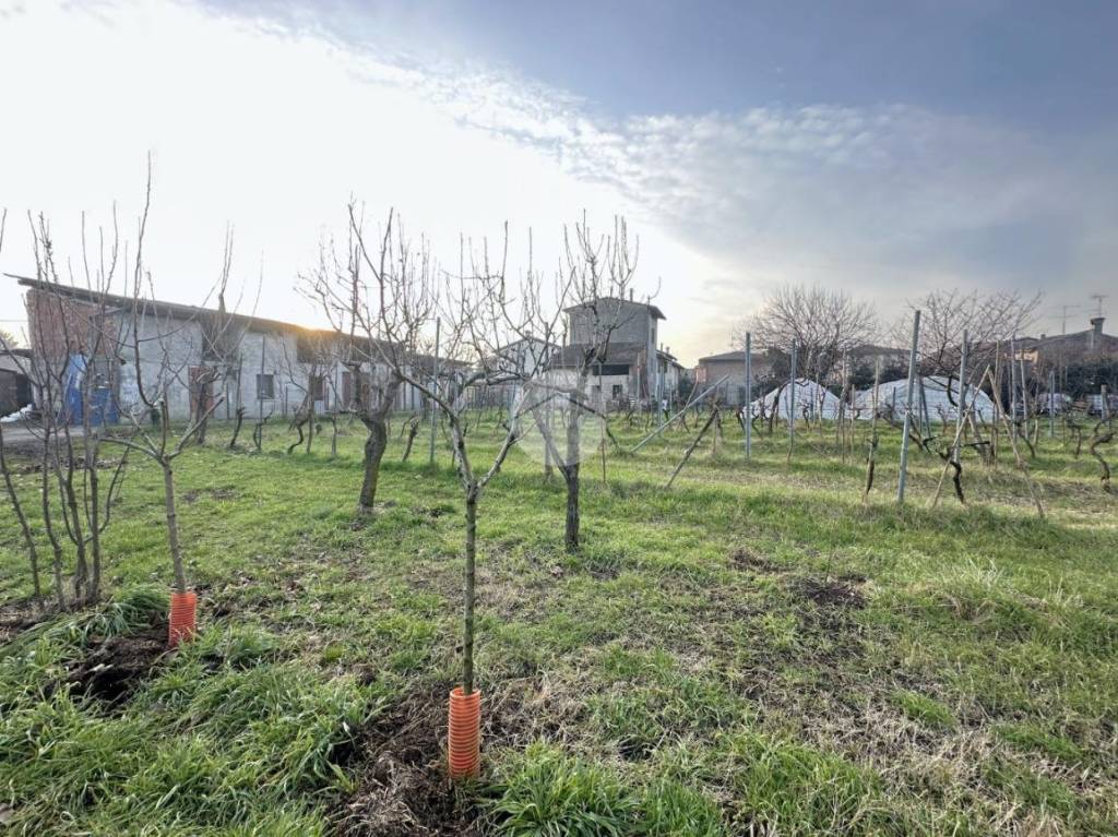 immagine annuncio 2 di 13