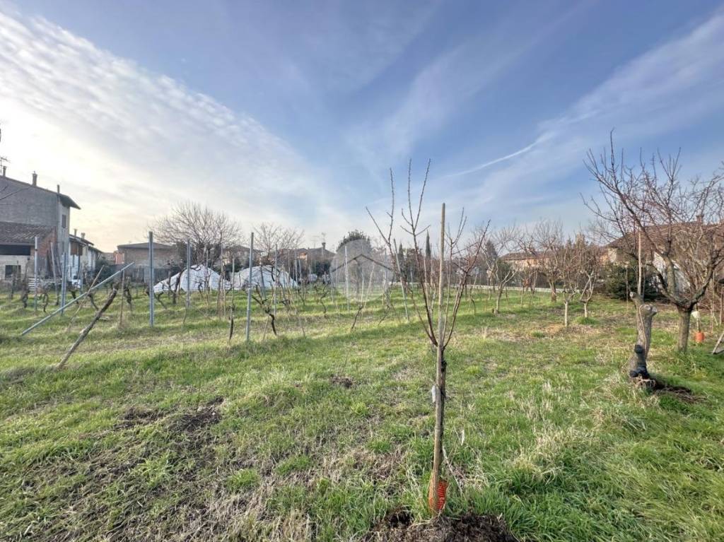 immagine annuncio 3 di 13