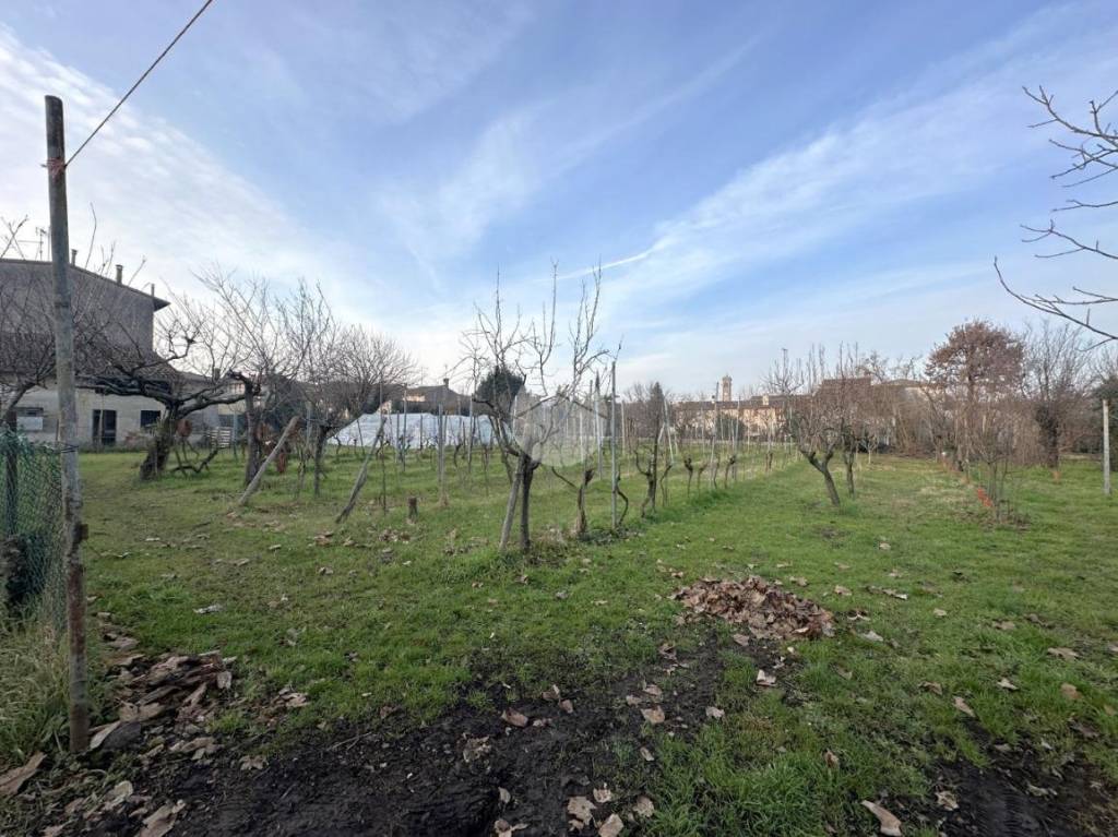 immagine annuncio 5 di 13