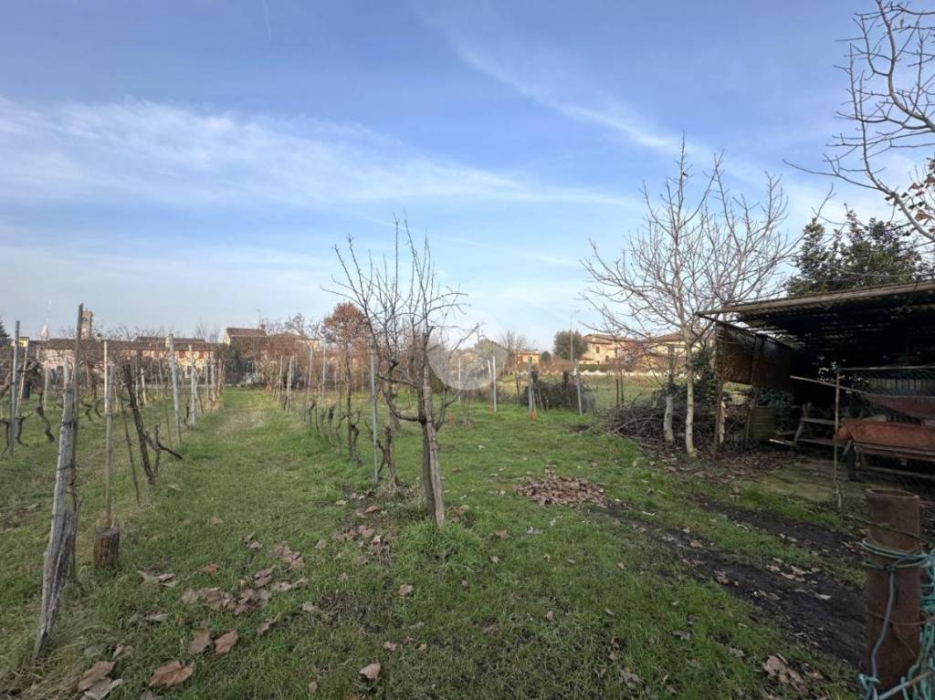 immagine annuncio 7 di 13