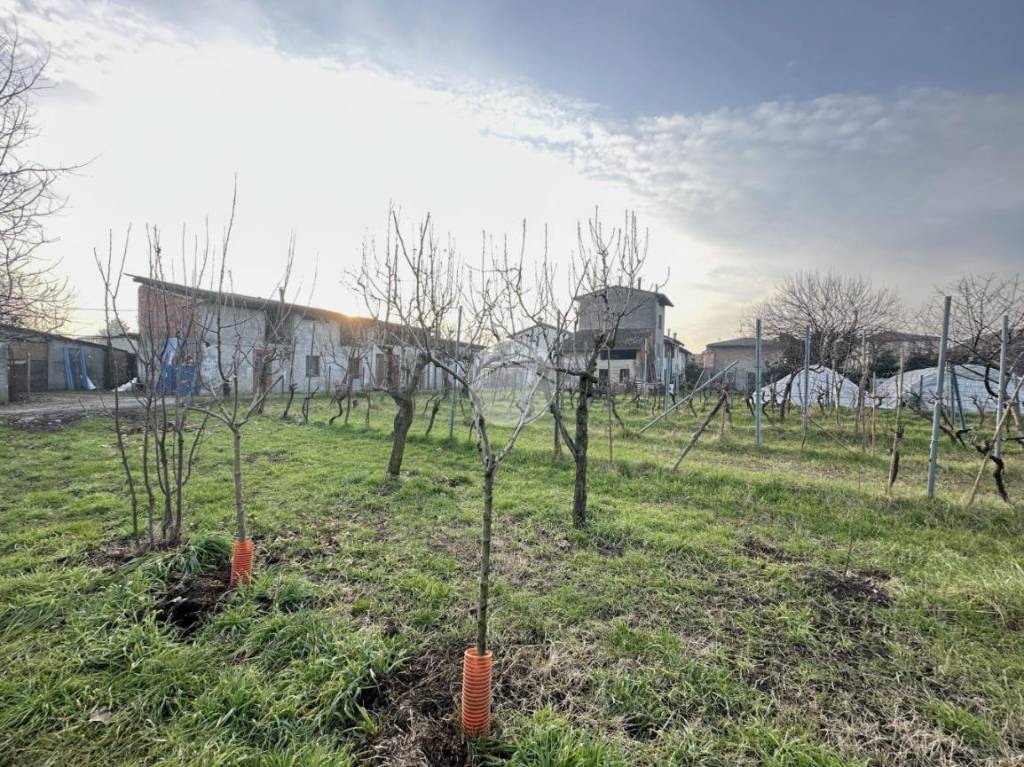 immagine annuncio 8 di 13