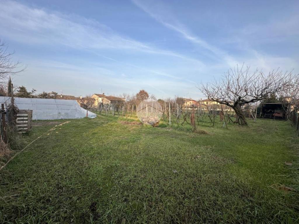 immagine annuncio 9 di 13