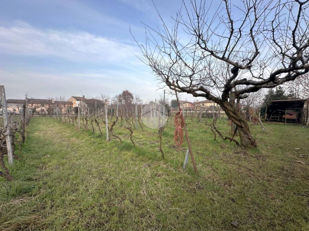 immagine annuncio 10 di 13