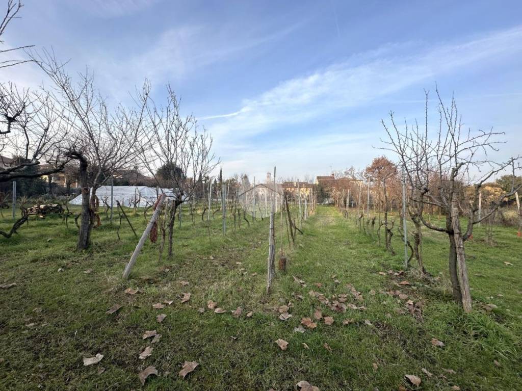 immagine annuncio 12 di 13