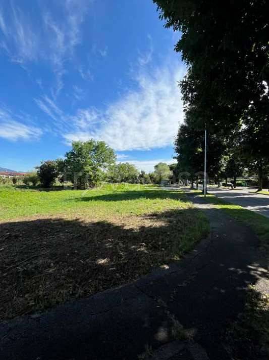 immagine annuncio 2 di 4