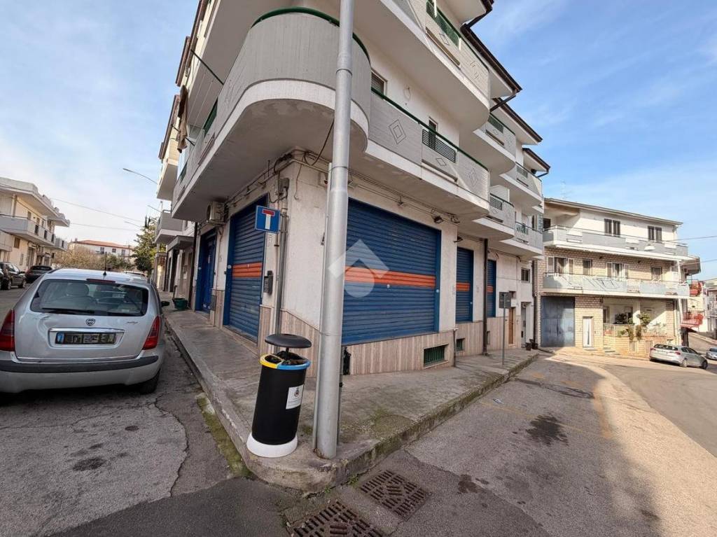 immagine annuncio 1 di 12