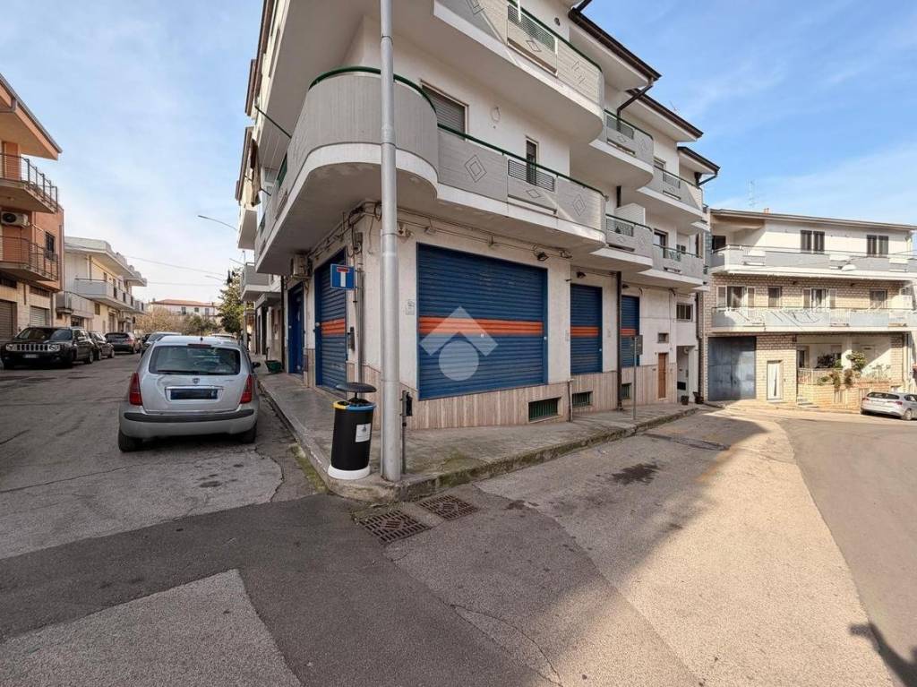 immagine annuncio 2 di 12