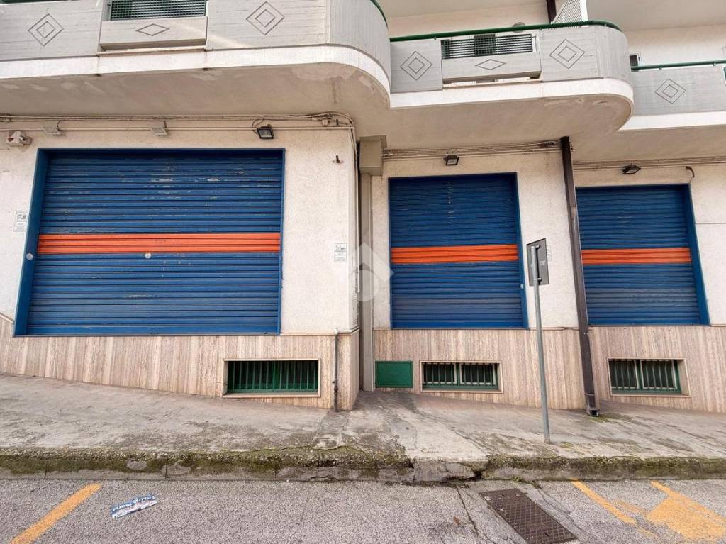 immagine annuncio 4 di 12