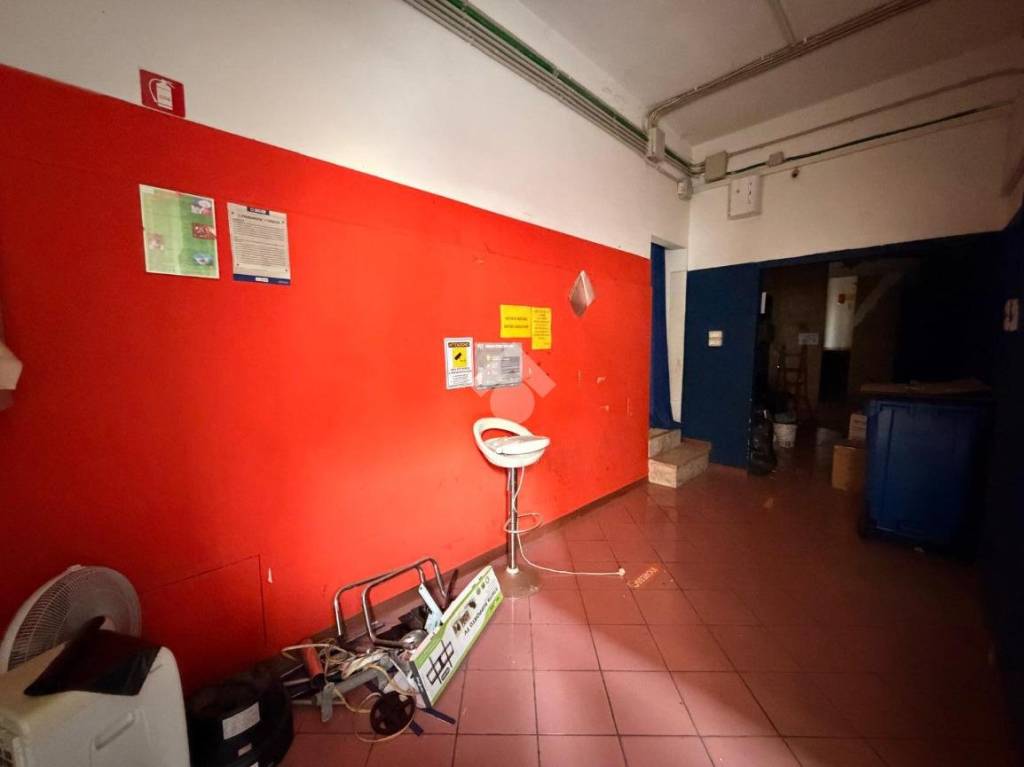 immagine annuncio 5 di 12