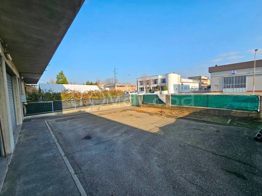 immagine annuncio 4 di 15