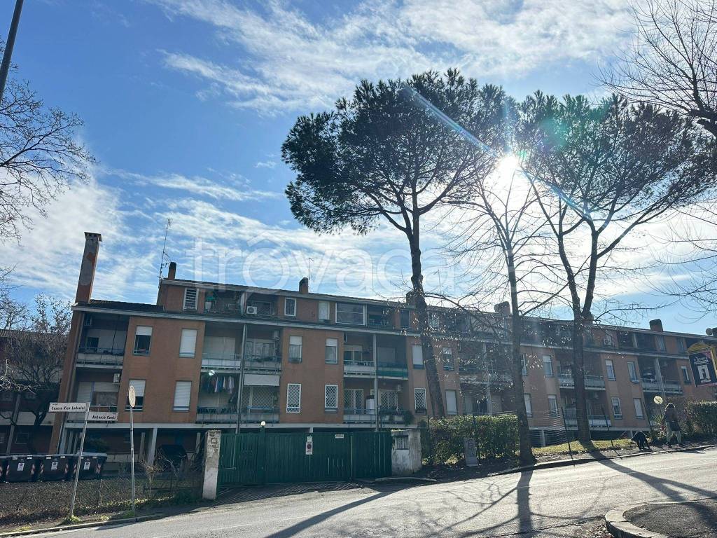 immagine annuncio 1 di 11