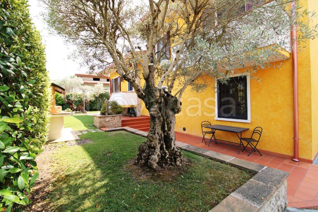 immagine annuncio 9 di 15