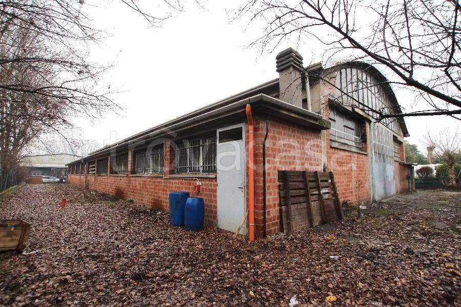 immagine annuncio 4 di 15