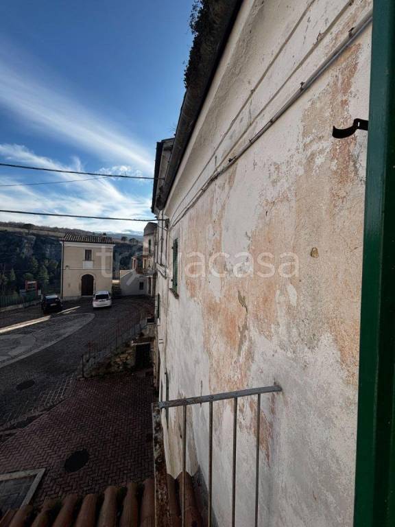 immagine annuncio 5 di 14