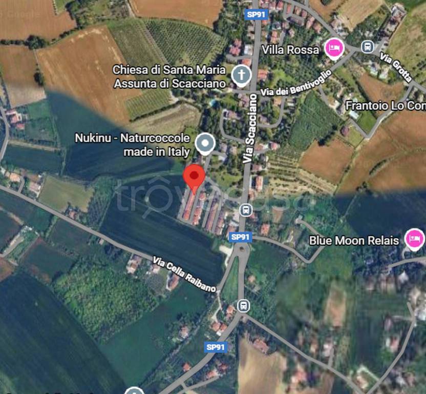 immagine annuncio 3 di 10