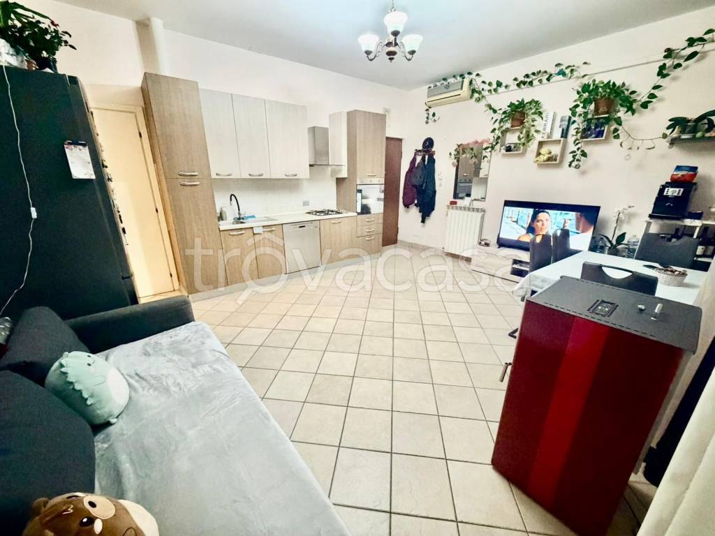 immagine annuncio 2 di 12